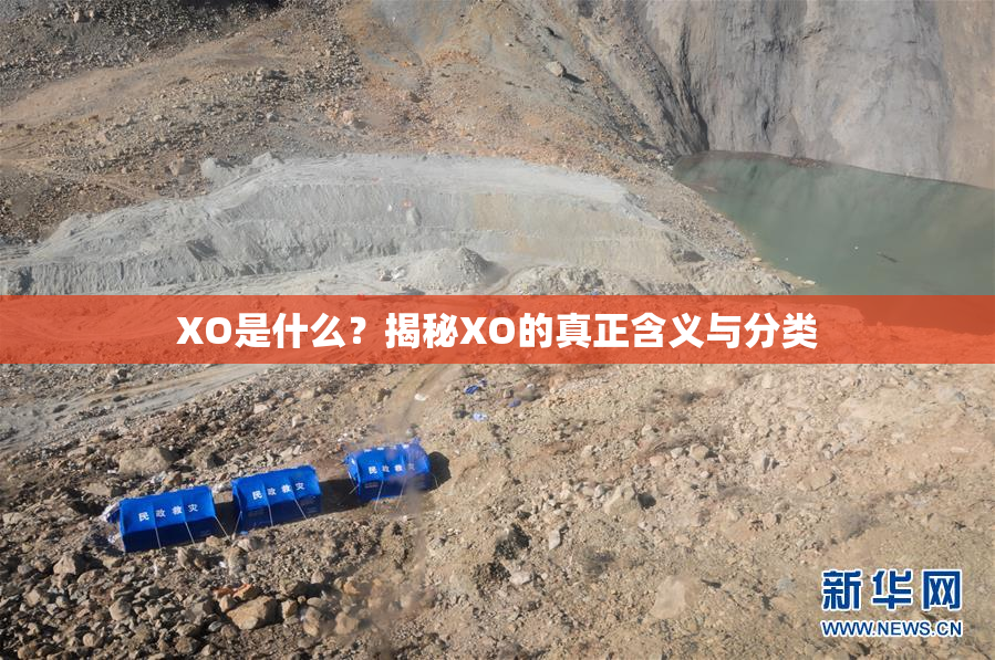XO是什么？揭秘XO的真正含义与分类