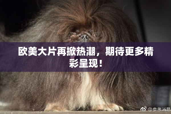 欧美大片再掀热潮，期待更多精彩呈现！