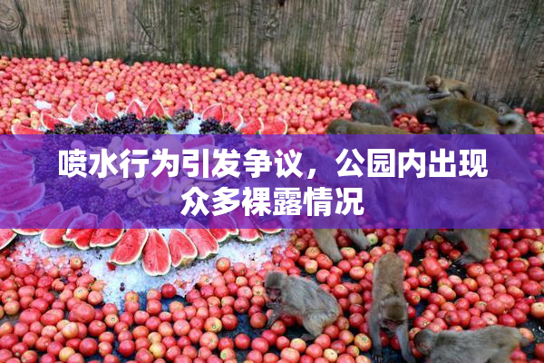 喷水行为引发争议，公园内出现众多裸露情况