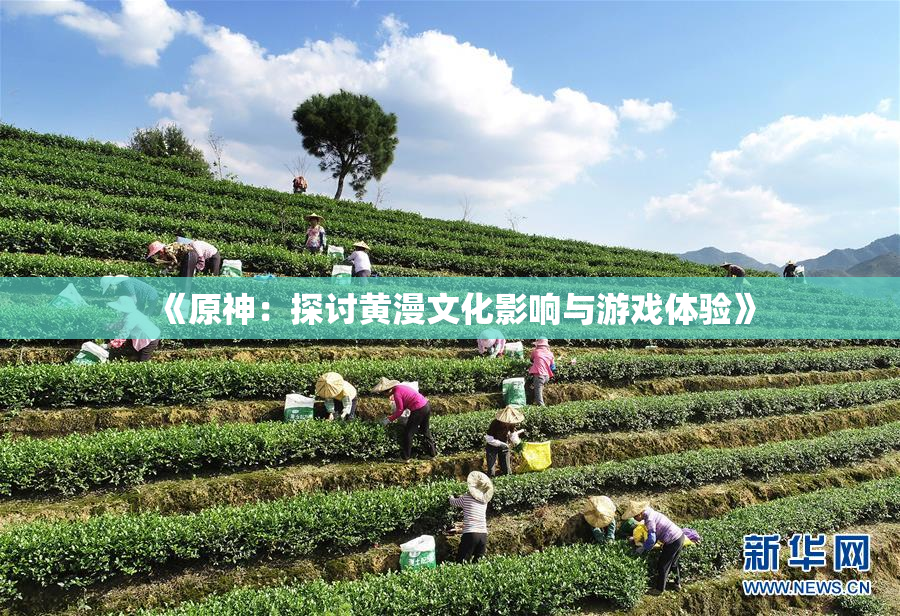 《原神：探讨黄漫文化影响与游戏体验》