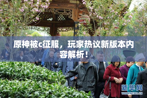 原神被c征服，玩家热议新版本内容解析！