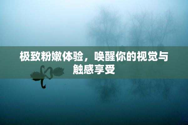 极致粉嫩体验，唤醒你的视觉与触感享受