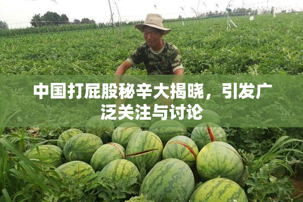 中国打屁股秘辛大揭晓，引发广泛关注与讨论