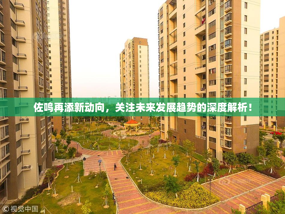 佐鸣再添新动向，关注未来发展趋势的深度解析！