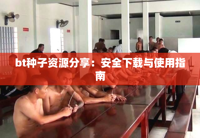 bt种子资源分享：安全下载与使用指南