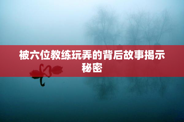 被六位教练玩弄的背后故事揭示秘密