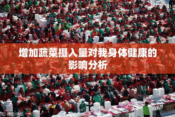 增加蔬菜摄入量对我身体健康的影响分析