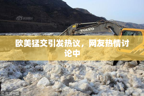 欧美猛交引发热议，网友热情讨论中