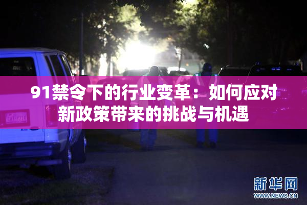 91禁令下的行业变革：如何应对新政策带来的挑战与机遇