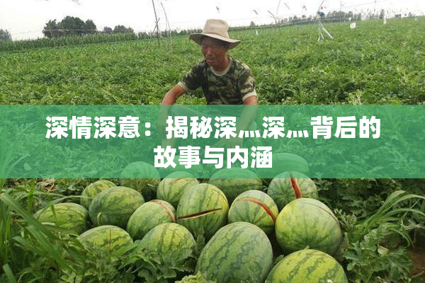 深情深意：揭秘深灬深灬背后的故事与内涵