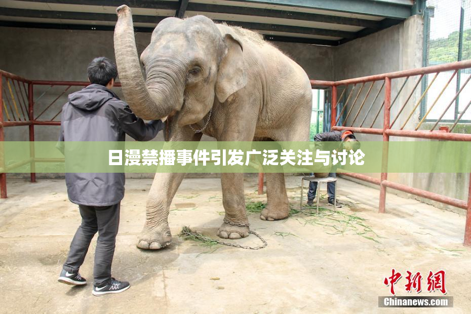 日漫禁播事件引发广泛关注与讨论