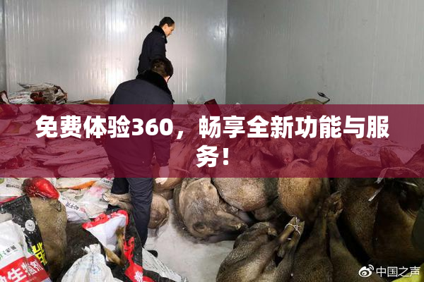 免费体验360，畅享全新功能与服务！