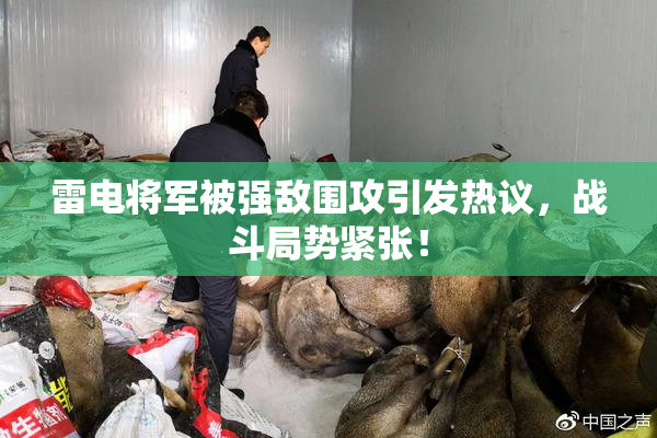 雷电将军被强敌围攻引发热议，战斗局势紧张！