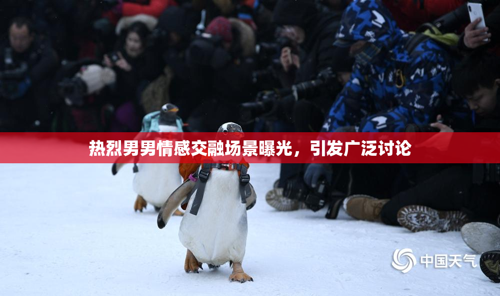 热烈男男情感交融场景曝光，引发广泛讨论