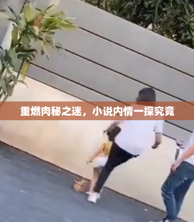 重燃肉秘之迷，小说内情一探究竟
