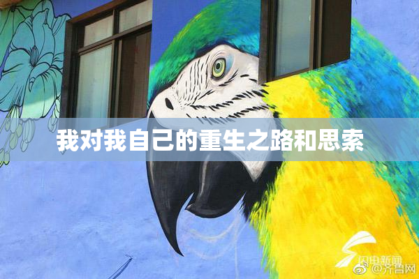 我对我自己的重生之路和思索