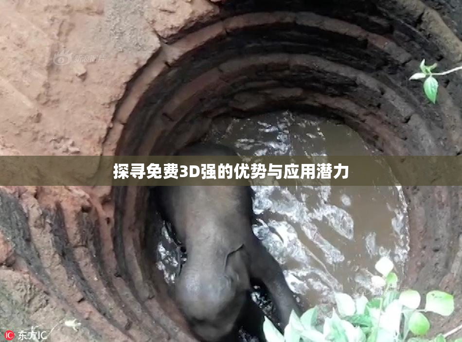 探寻免费3D强的优势与应用潜力