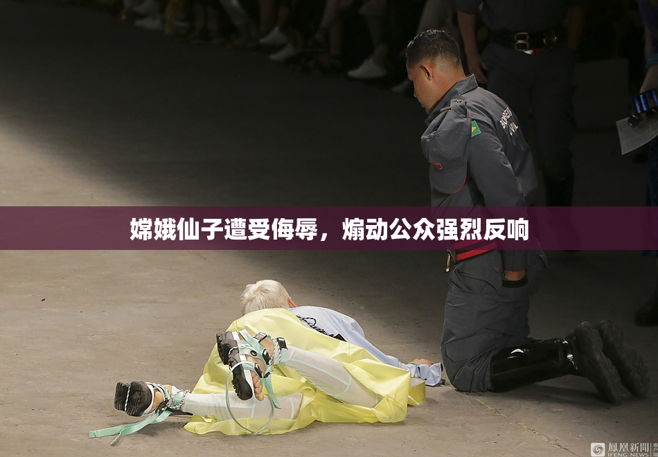 嫦娥仙子遭受侮辱，煽动公众强烈反响