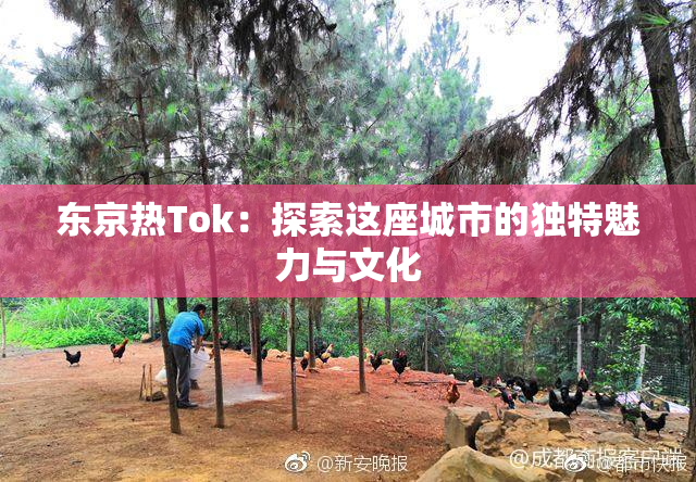 东京热Tok：探索这座城市的独特魅力与文化