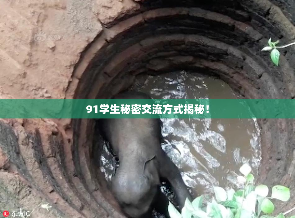 91学生秘密交流方式揭秘！
