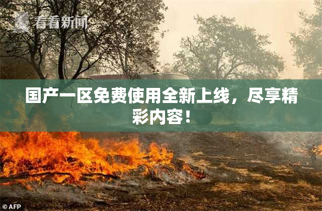 国产一区免费使用全新上线，尽享精彩内容！
