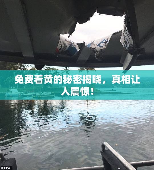 免费看黄的秘密揭晓，真相让人震惊！