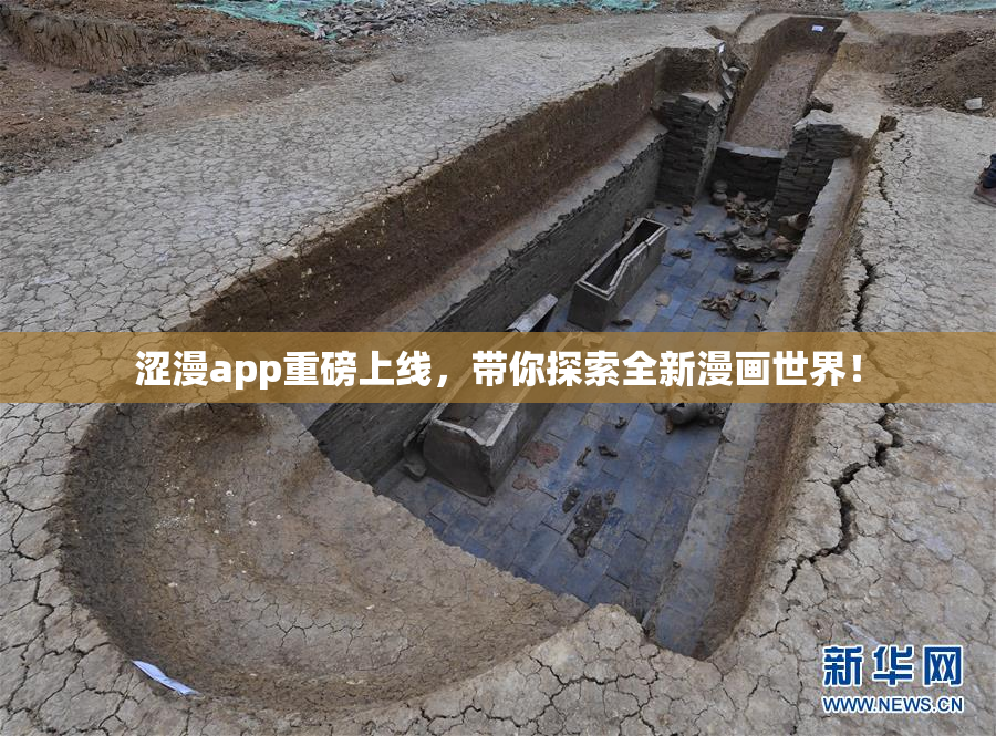 涩漫app重磅上线，带你探索全新漫画世界！