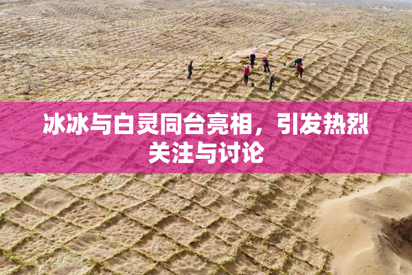 冰冰与白灵同台亮相，引发热烈关注与讨论