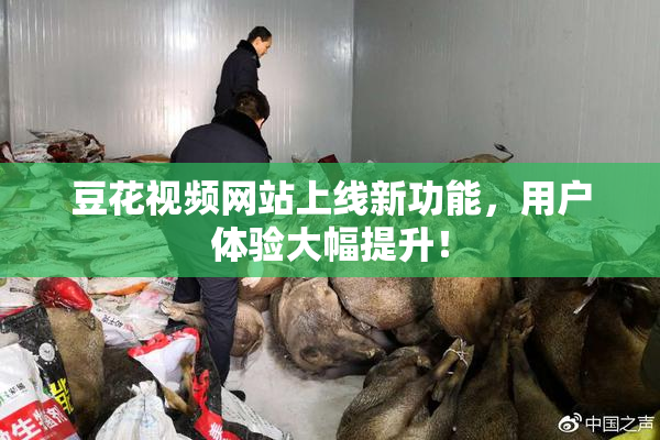 豆花视频网站上线新功能，用户体验大幅提升！
