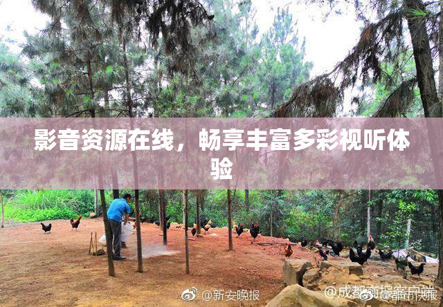 影音资源在线，畅享丰富多彩视听体验