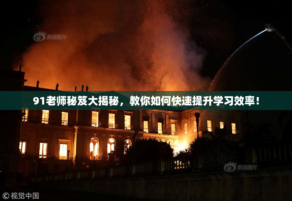 91老师秘笈大揭秘，教你如何快速提升学习效率！
