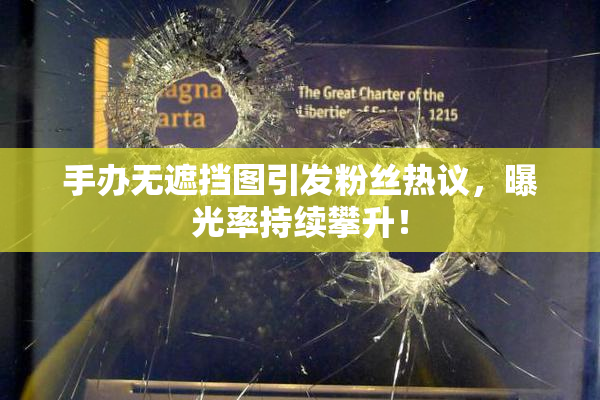 手办无遮挡图引发粉丝热议，曝光率持续攀升！