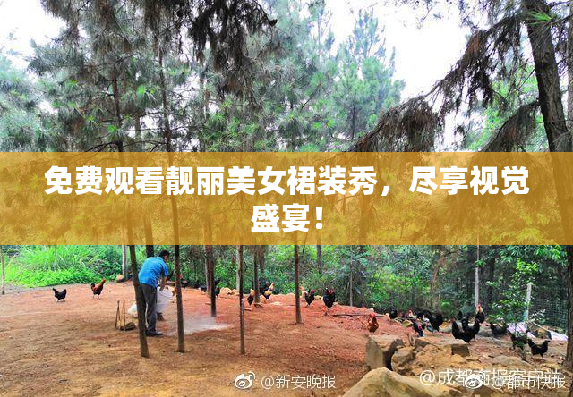 免费观看靓丽美女裙装秀，尽享视觉盛宴！
