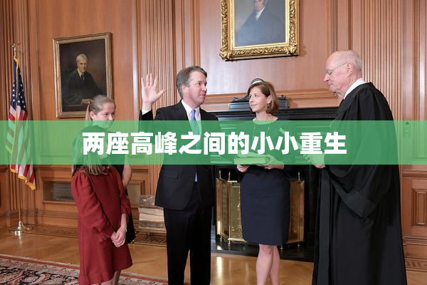 两座高峰之间的小小重生