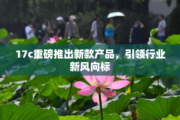 17c重磅推出新款产品，引领行业新风向标