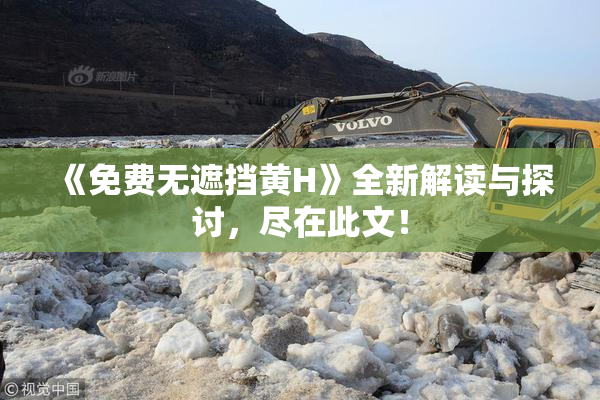 《免费无遮挡黄H》全新解读与探讨，尽在此文！