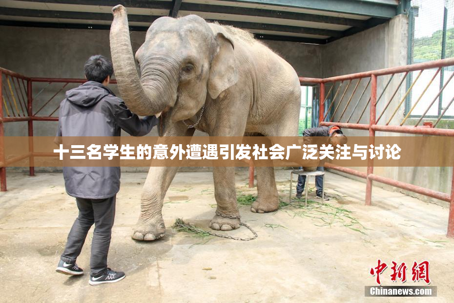 十三名学生的意外遭遇引发社会广泛关注与讨论