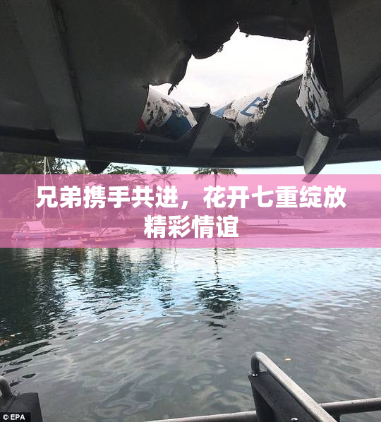 兄弟携手共进，花开七重绽放精彩情谊