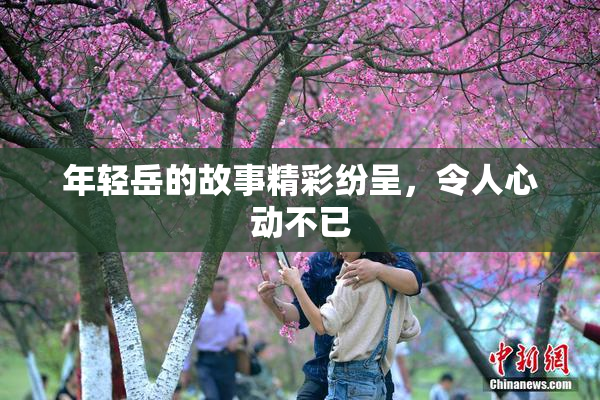 年轻岳的故事精彩纷呈，令人心动不已