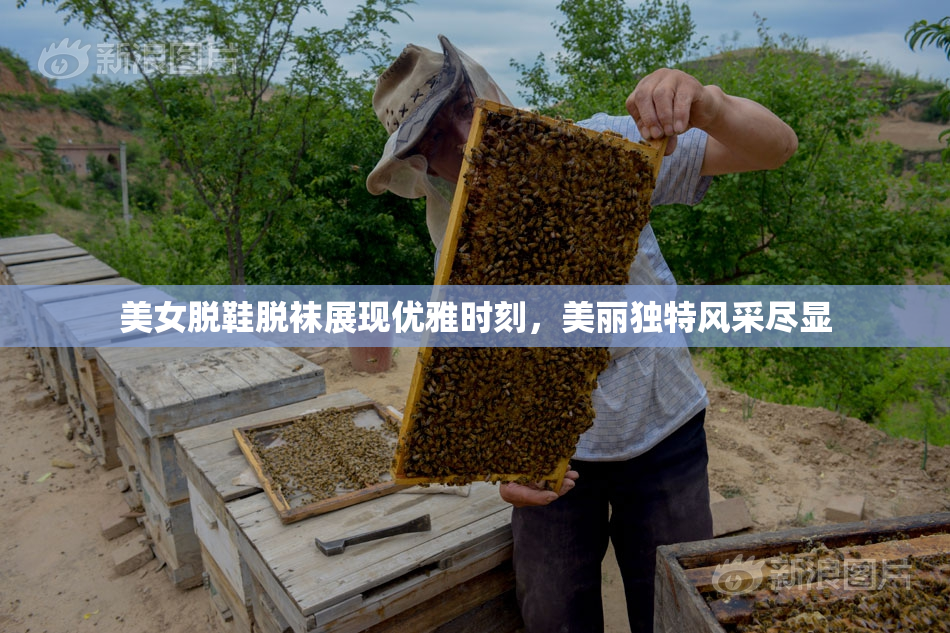 美女脱鞋脱袜展现优雅时刻，美丽独特风采尽显