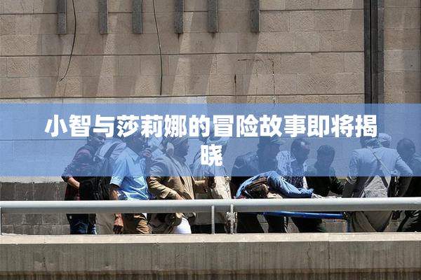 小智与莎莉娜的冒险故事即将揭晓