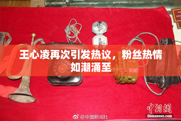 王心凌再次引发热议，粉丝热情如潮涌至