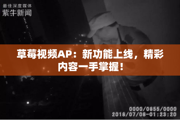草莓视频AP：新功能上线，精彩内容一手掌握！