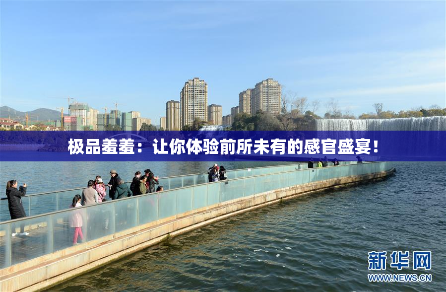 极品羞羞：让你体验前所未有的感官盛宴！