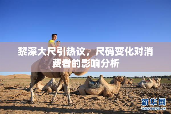 黎深大尺引热议，尺码变化对消费者的影响分析