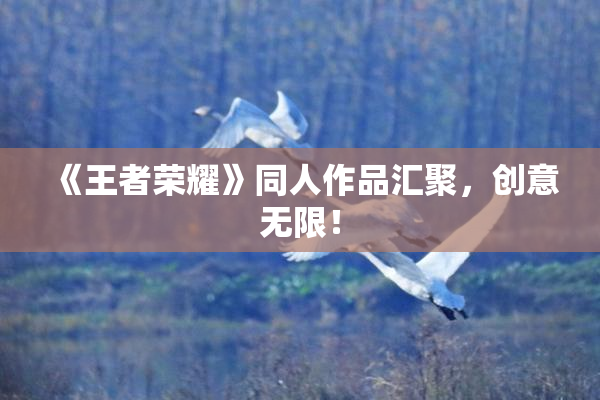 《王者荣耀》同人作品汇聚，创意无限！