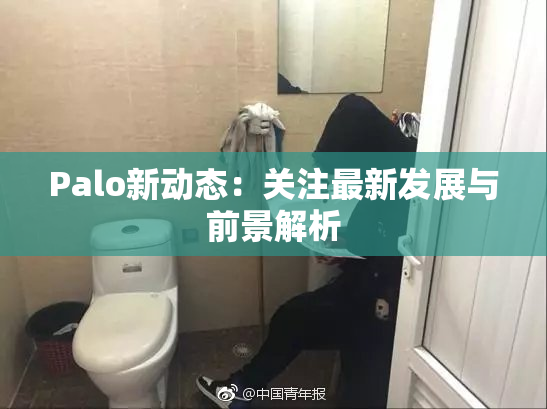 Palo新动态：关注最新发展与前景解析