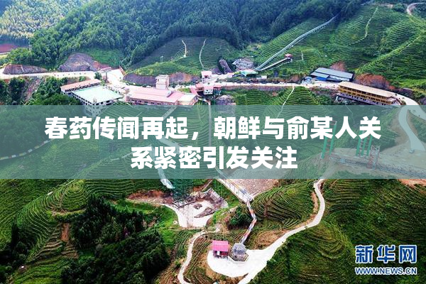 春药传闻再起，朝鲜与俞某人关系紧密引发关注