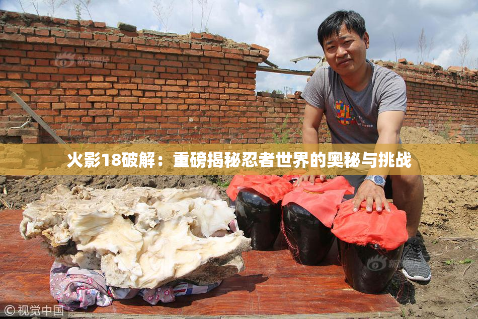 火影18破解：重磅揭秘忍者世界的奥秘与挑战