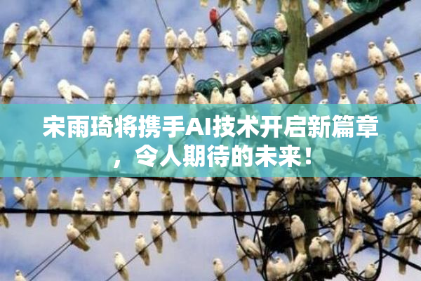 宋雨琦将携手AI技术开启新篇章，令人期待的未来！